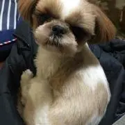千尋ショップ