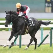 ぜーしょんの画像