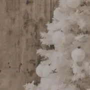 Rの画像