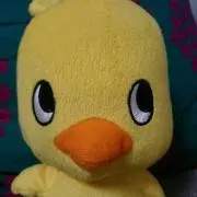 ホモモ