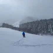 OTTAの画像
