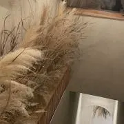 ゆっかの画像
