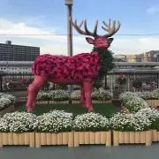 ヤンリーの画像