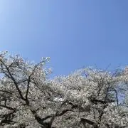 ロンニ　ヌルハキム