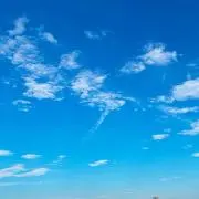 お萩の画像