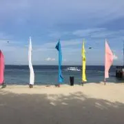 ちゃきの画像
