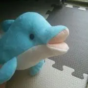 だるま☆