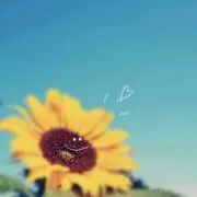 まるの画像