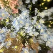 あいす