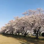 ミン　ドウック