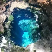 瑞光@6/26まで発送できませんの画像