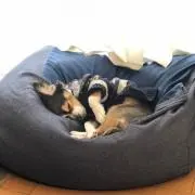satoの画像
