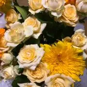 ドナルド