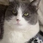 モーちゃん