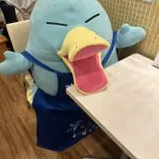 ぽちの画像