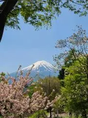 香織の画像