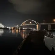 桜の画像