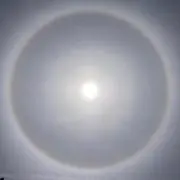 マコトの画像