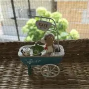 spachanの画像