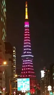 さぁこ