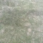 まさひこ