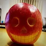 チロの画像