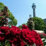 ＊花子＊の画像