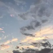 チェリー