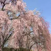 なつみ