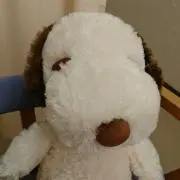 とっち