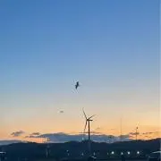 あいすの画像