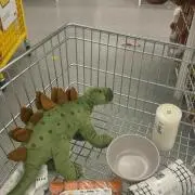 のんの画像