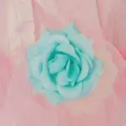 みみっくの画像