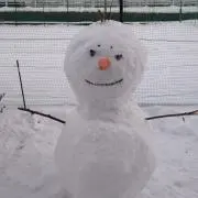 めぇめぇの画像