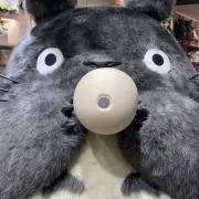 めい☺︎の画像