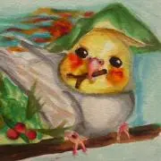 あやかの画像