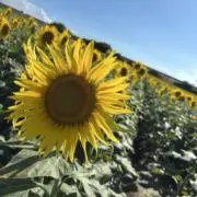 断捨離中⚠️ おまとめ買い大歓迎✨の画像