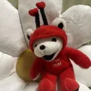 love♡bugの画像