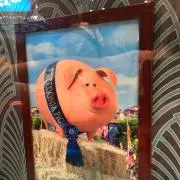 kyrmwsの画像