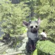 こじこじの画像