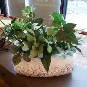 レモグラ