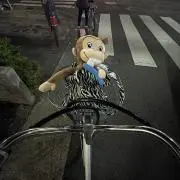 恋の画像