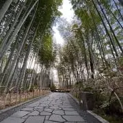 ねこまんまの画像