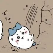 崖っぷちハチワレの画像