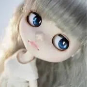 ポコニャン　フォロー割ありの画像