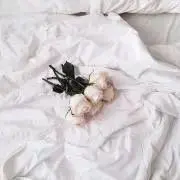 run◡̈⋆の画像
