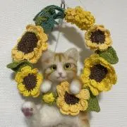 はっち☆彡の画像