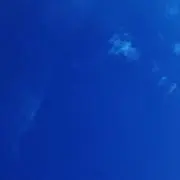 ファンタスティックの画像