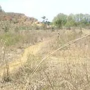 まさもかの画像