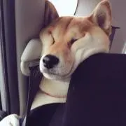 しんじんるいの画像